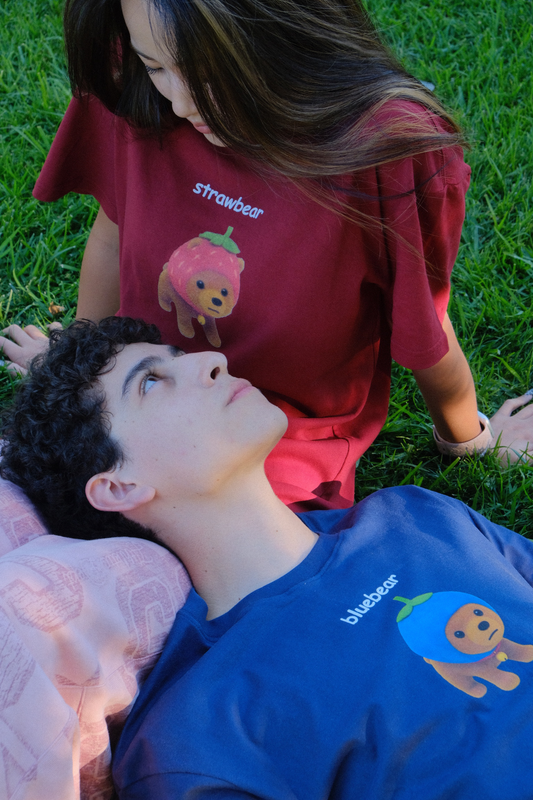 🍓🫐 bearys bundle 🧸🫶
